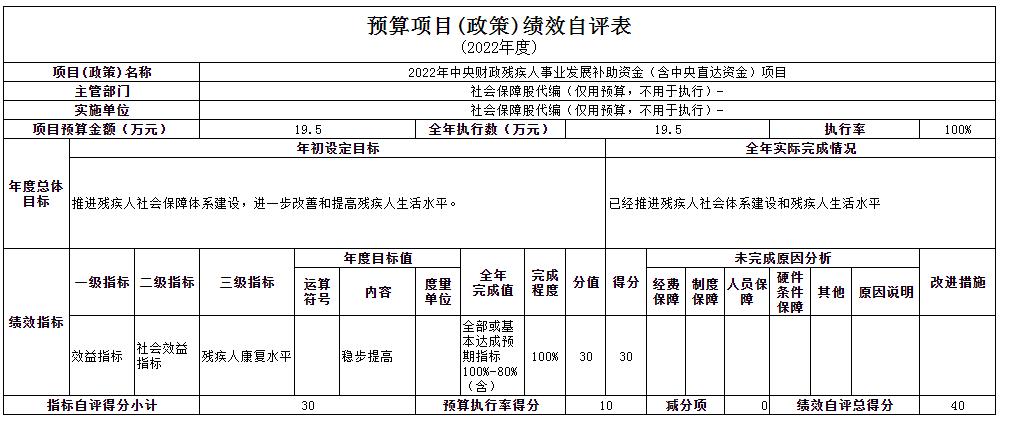 2022年残疾人发展补助资金19.5万元项目绩效.jpg