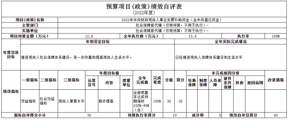 2022年残疾人事业发展补助资金12.6万元项目绩效.jpg