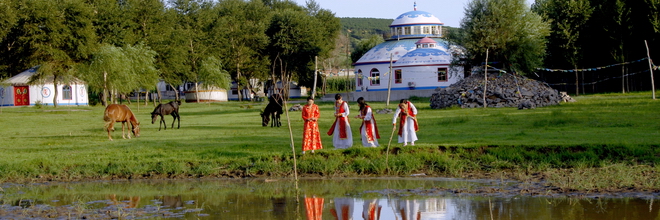 ff8080817234a23469001725f02d2b40a93.jpg